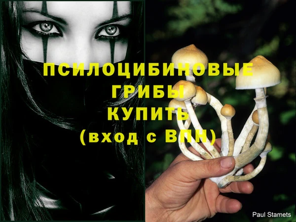 мяу мяу мука Каменка