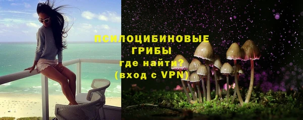 молекула духа Каменногорск