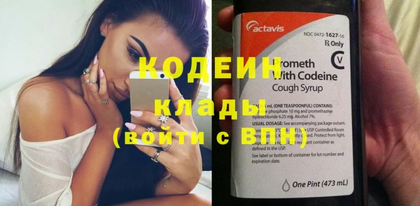 молекула духа Каменногорск