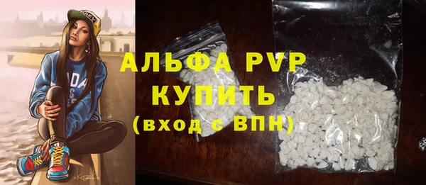 молекула духа Каменногорск