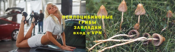 ALPHA-PVP Касимов