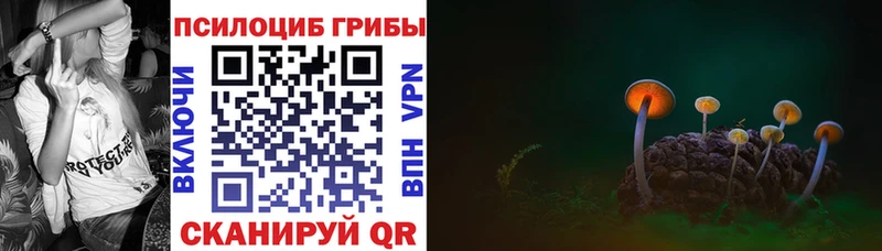 Псилоцибиновые грибы GOLDEN TEACHER  Орехово-Зуево 